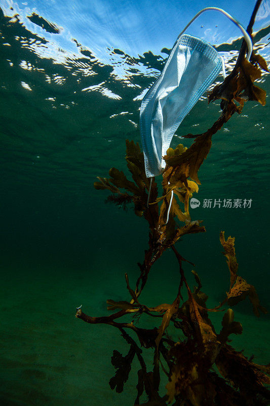 Face mask pollution in the ocean